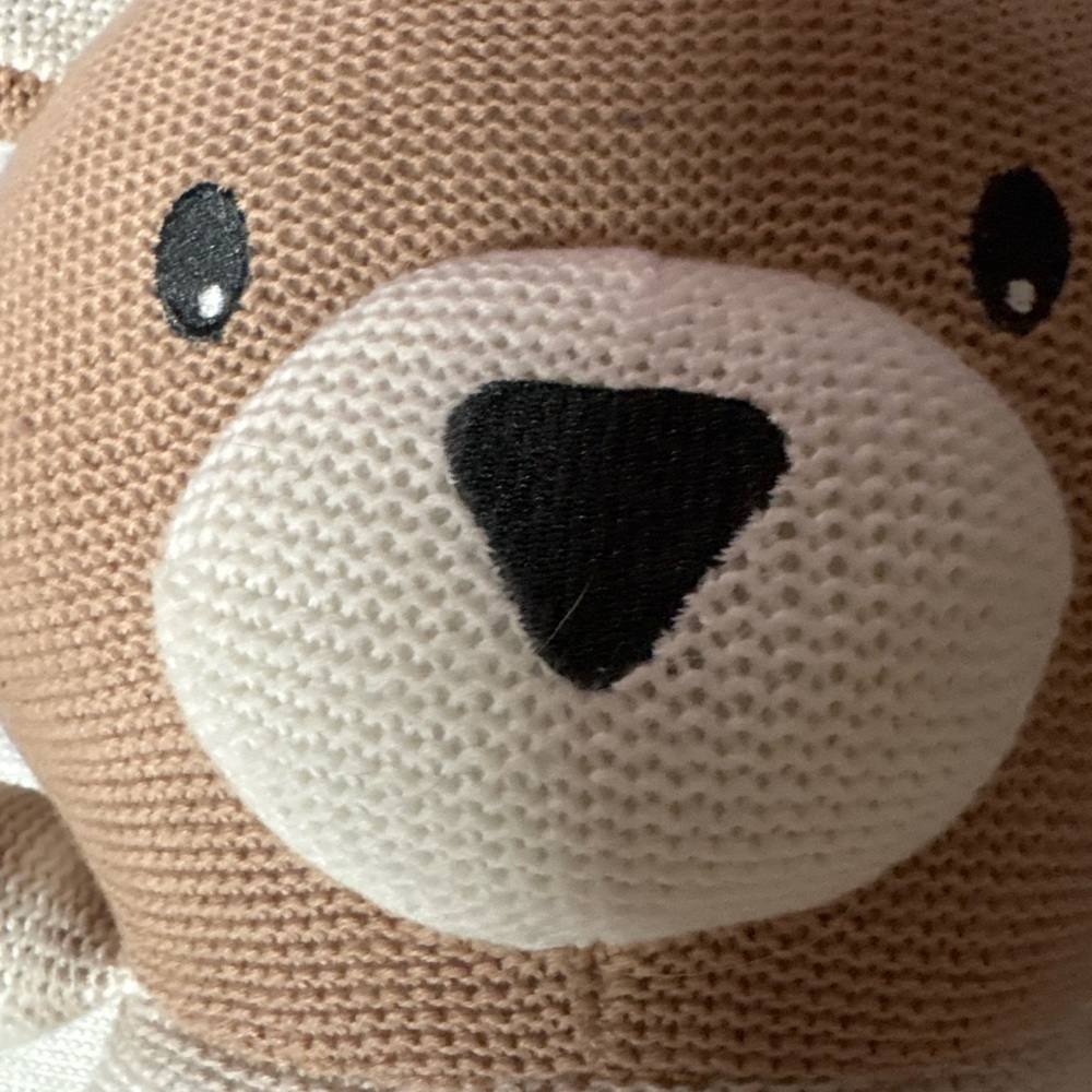 Living Textiles Brody Bear Knitted Cotton Huggable Stuffed Animal - Picture 3 of 4